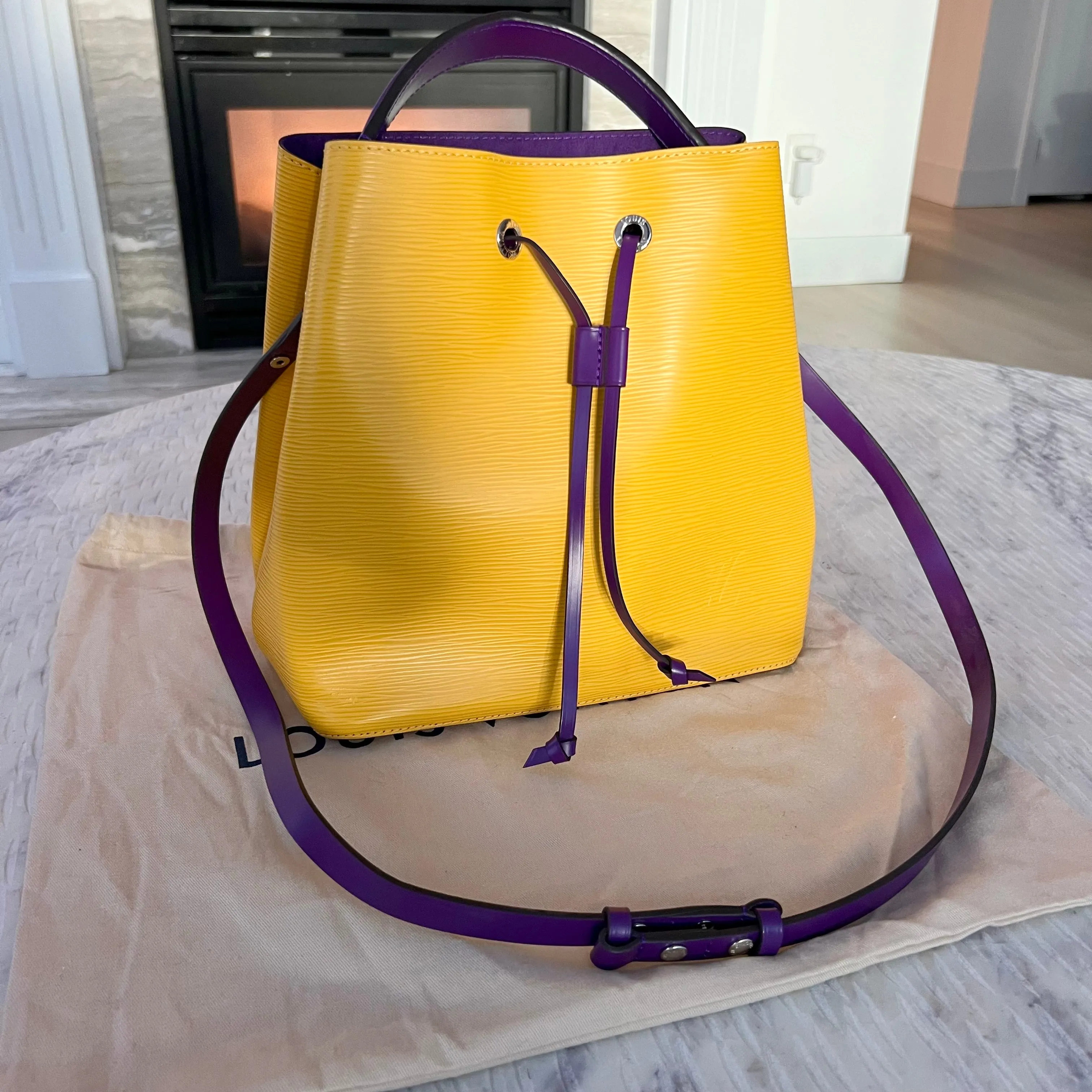 Louis Vuitton Neo Noe Bag