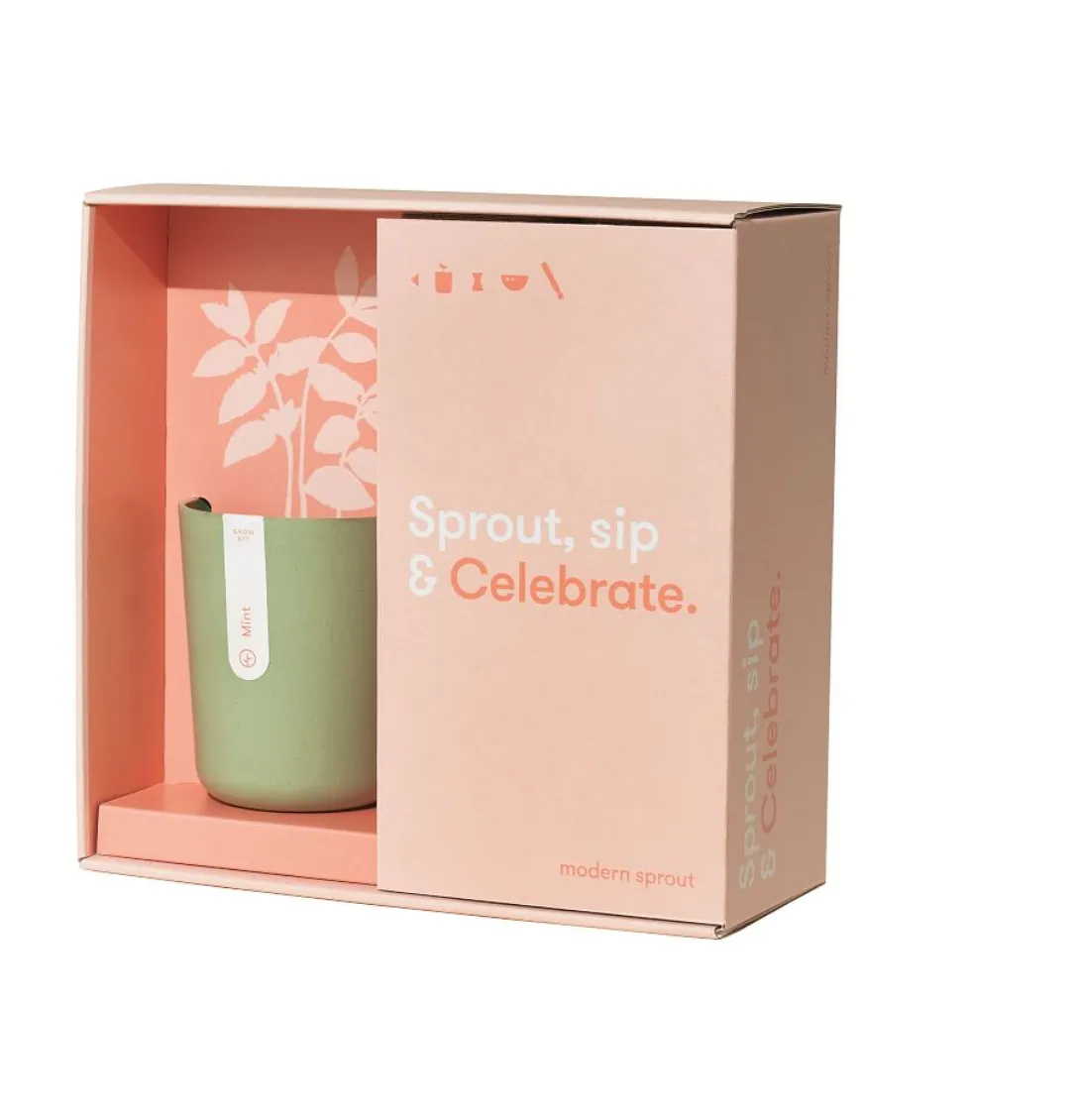 Modern Sprout: Celebrate Live Well Gift Set