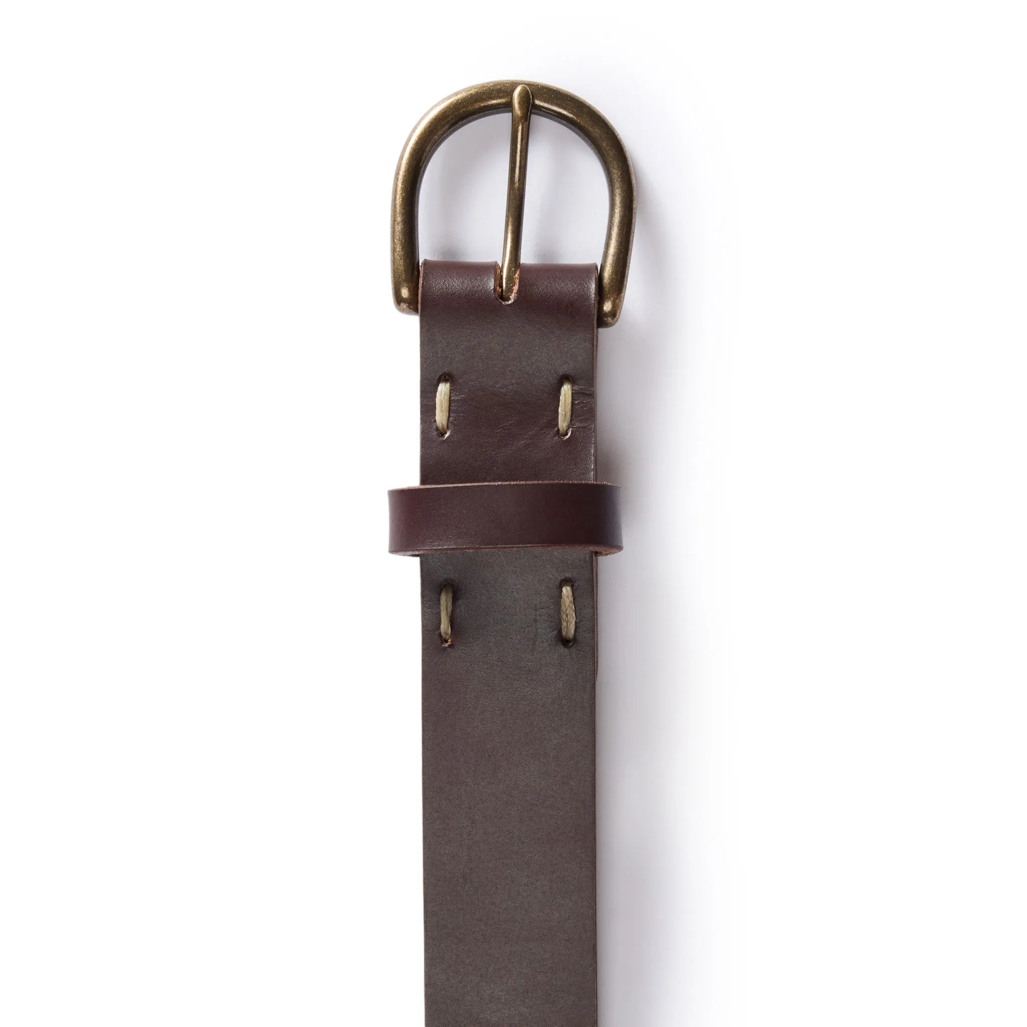 The Foundation Belt in Dark Brown