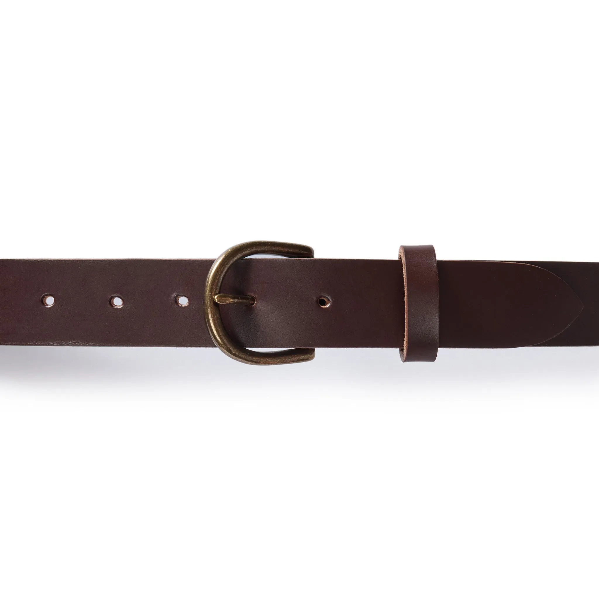 The Foundation Belt in Dark Brown